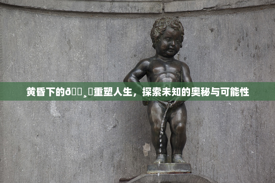 黄昏下的🌸‌重塑人生，探索未知的奥秘与可能性