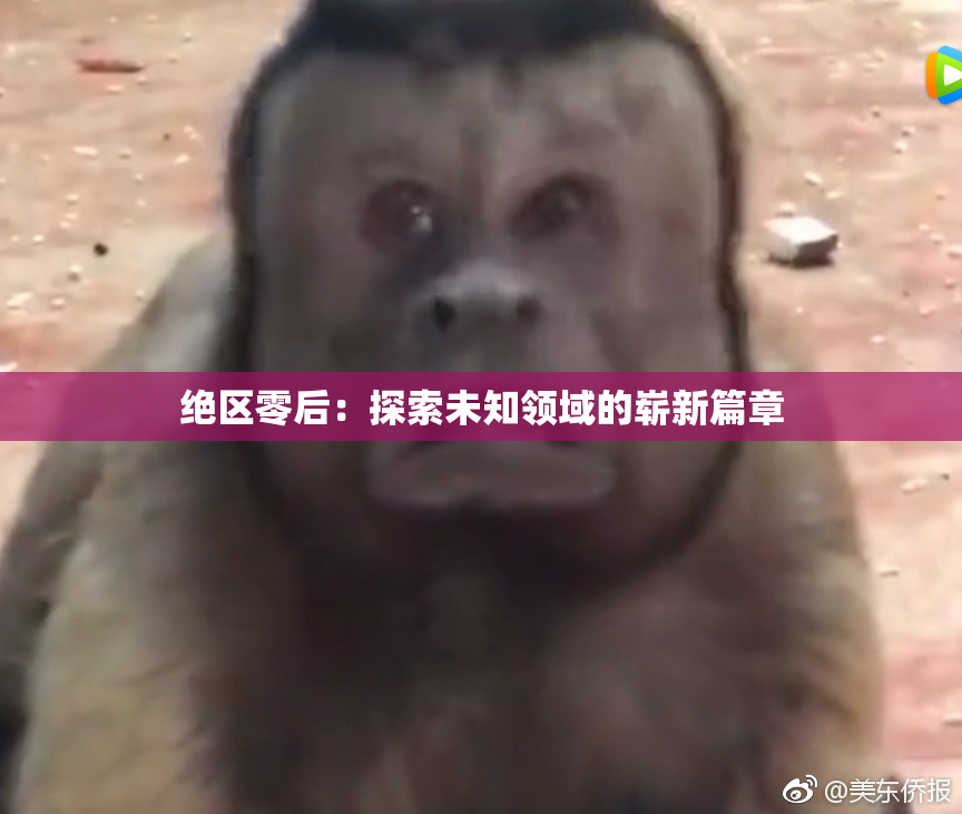 绝区零后：探索未知领域的崭新篇章