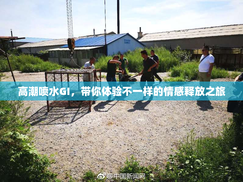 高潮喷水GI，带你体验不一样的情感释放之旅