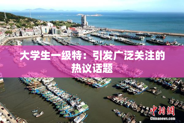 大学生一级特：引发广泛关注的热议话题