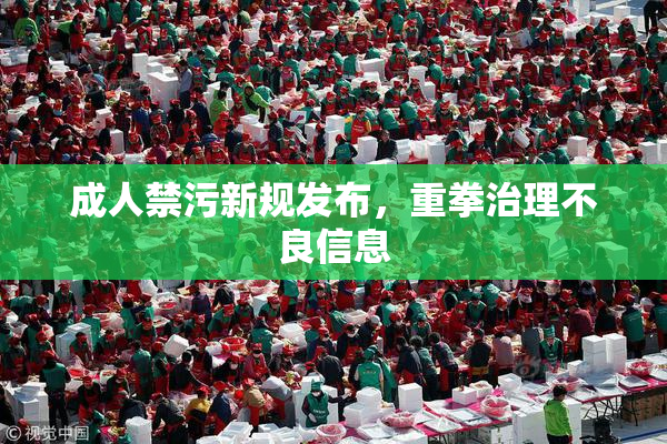 成人禁污新规发布，重拳治理不良信息