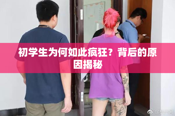 初学生为何如此疯狂？背后的原因揭秘