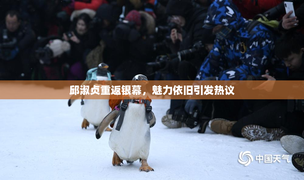 邱淑贞重返银幕，魅力依旧引发热议