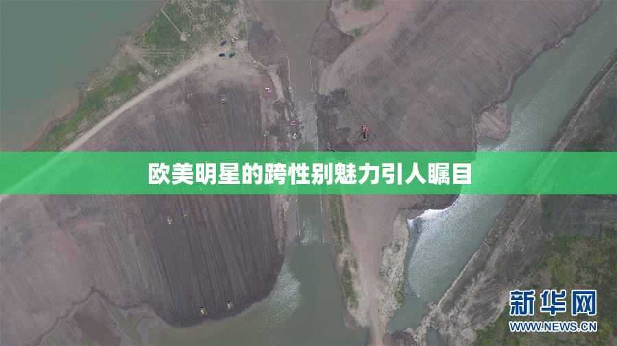 欧美明星的跨性别魅力引人瞩目