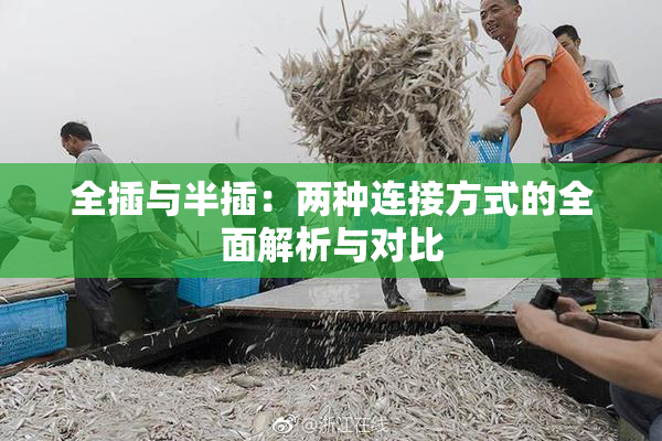 全插与半插：两种连接方式的全面解析与对比