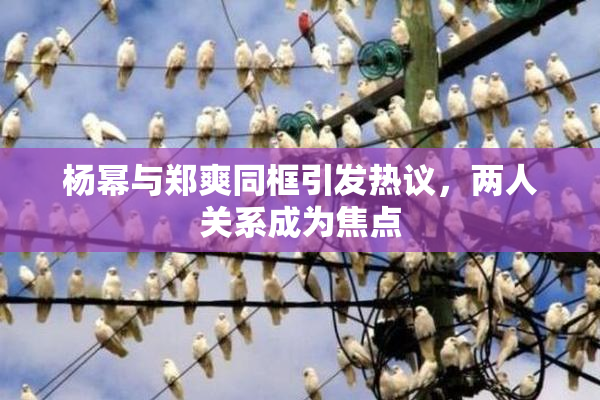 杨幂与郑爽同框引发热议，两人关系成为焦点