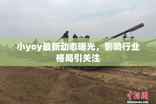 小yoy最新动态曝光，影响行业格局引关注