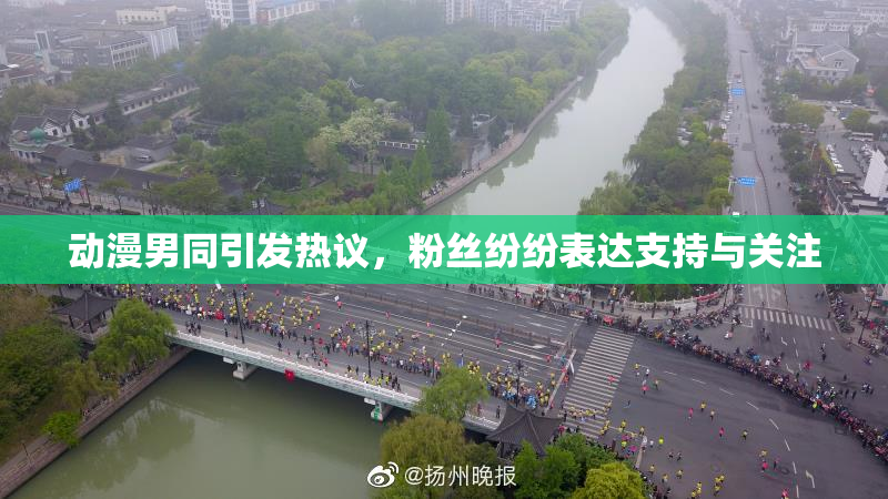 动漫男同引发热议，粉丝纷纷表达支持与关注