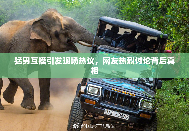 猛男互摸引发现场热议，网友热烈讨论背后真相