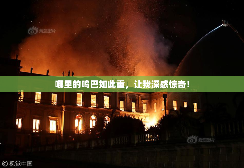 哪里的鸣巴如此重，让我深感惊奇！
