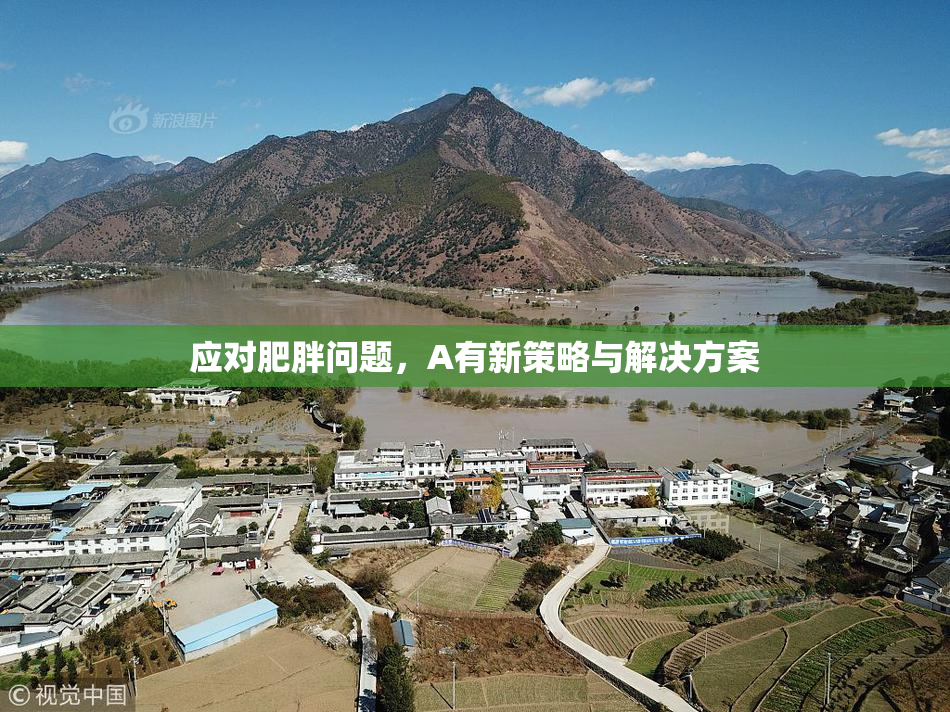 应对肥胖问题，A有新策略与解决方案