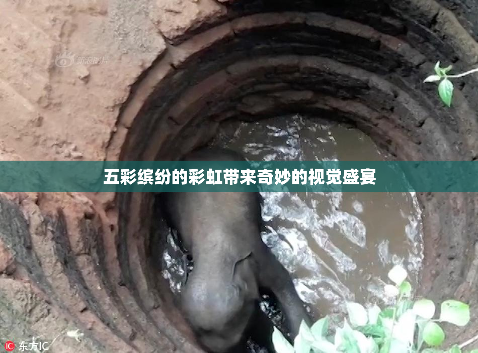 五彩缤纷的彩虹带来奇妙的视觉盛宴