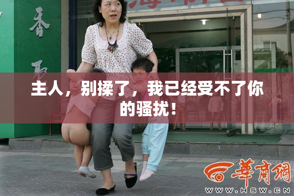 主人，别揉了，我已经受不了你的骚扰！