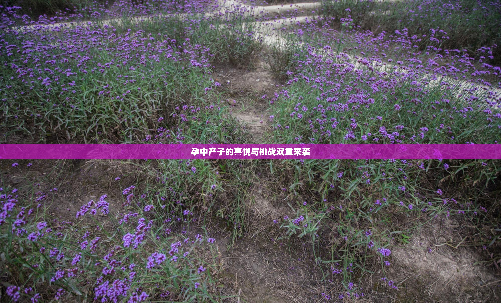 孕中产子的喜悦与挑战双重来袭
