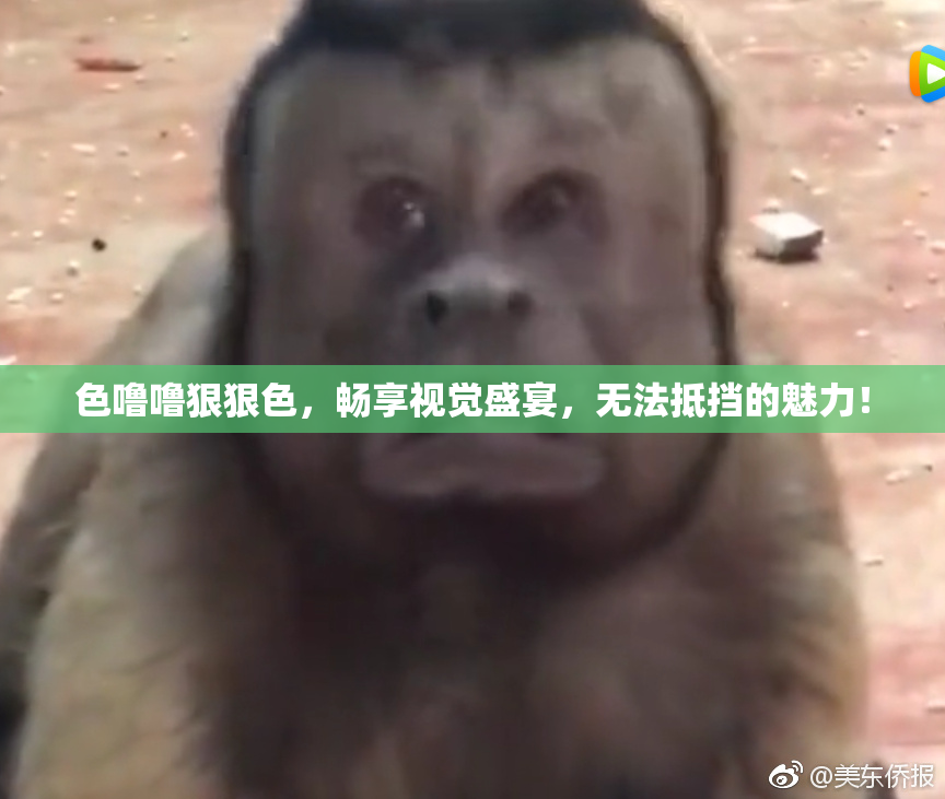 色噜噜狠狠色，畅享视觉盛宴，无法抵挡的魅力！
