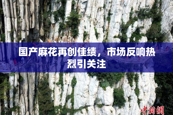 国产麻花再创佳绩，市场反响热烈引关注