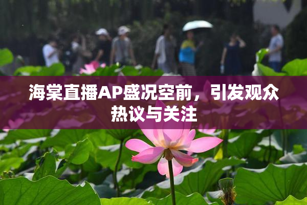海棠直播AP盛况空前，引发观众热议与关注