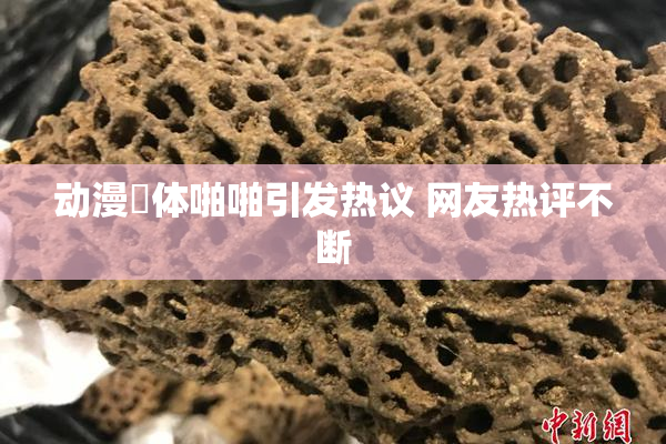 动漫祼体啪啪引发热议 网友热评不断