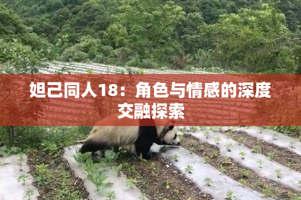 妲己同人18：角色与情感的深度交融探索
