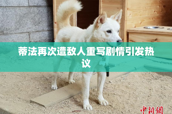 蒂法再次遭敌人重写剧情引发热议