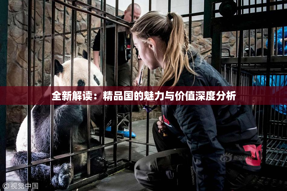 全新解读：精品国的魅力与价值深度分析
