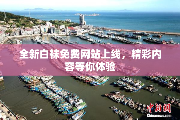 全新白袜免费网站上线，精彩内容等你体验