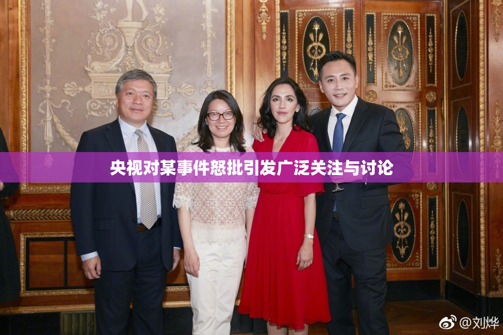 央视对某事件怒批引发广泛关注与讨论