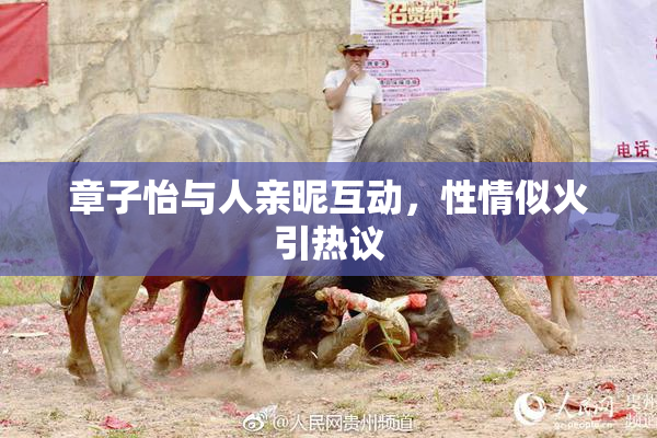 章子怡与人亲昵互动，性情似火引热议