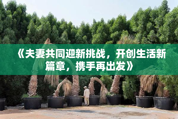《夫妻共同迎新挑战，开创生活新篇章，携手再出发》