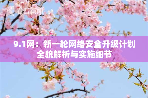 9.1网：新一轮网络安全升级计划全貌解析与实施细节