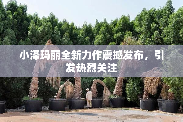 小泽玛丽全新力作震撼发布，引发热烈关注