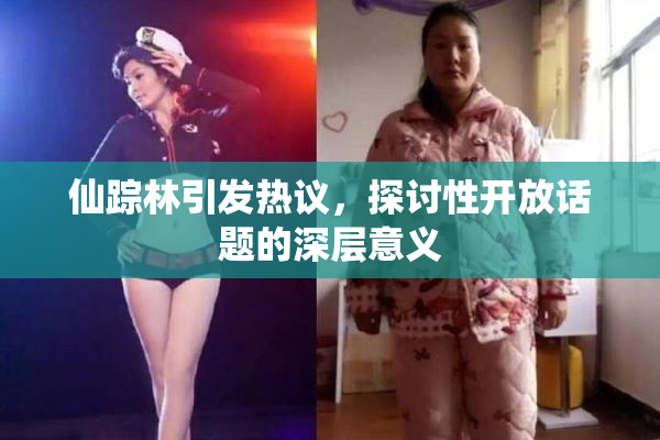 仙踪林引发热议，探讨性开放话题的深层意义