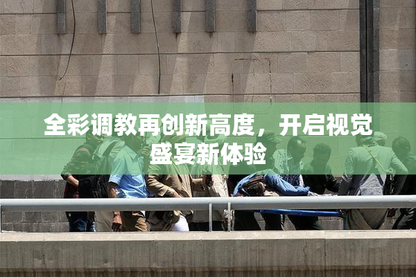 全彩调教再创新高度，开启视觉盛宴新体验
