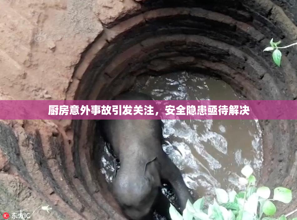 厨房意外事故引发关注，安全隐患亟待解决
