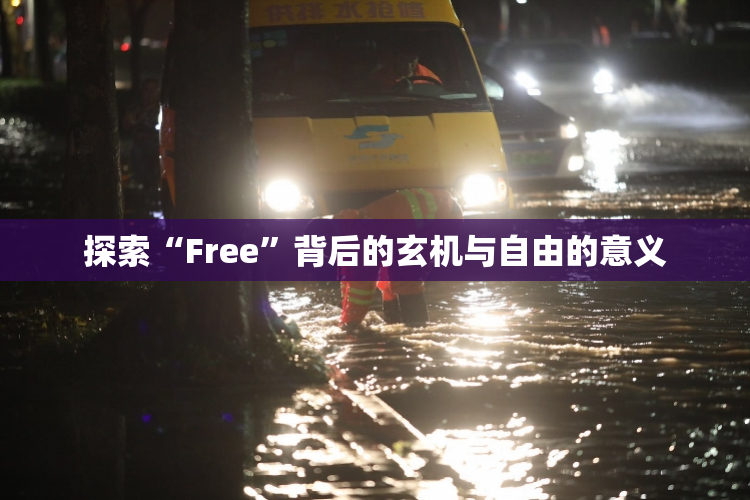 探索“Free”背后的玄机与自由的意义