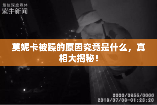 莫妮卡被躁的原因究竟是什么，真相大揭秘！