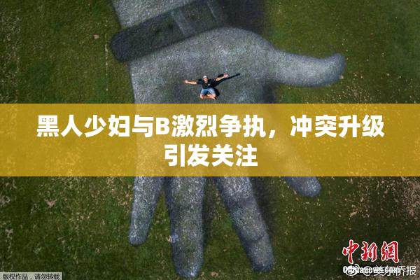 黑人少妇与B激烈争执，冲突升级引发关注