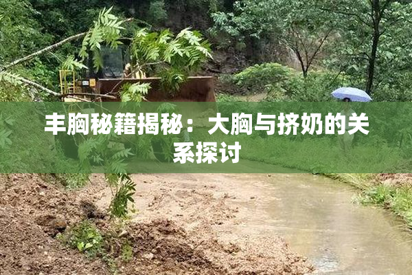 丰胸秘籍揭秘：大胸与挤奶的关系探讨