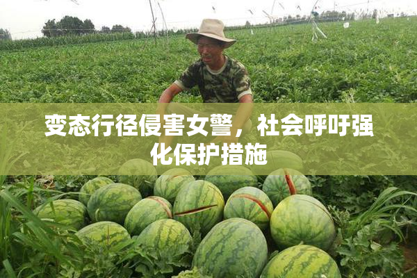 变态行径侵害女警，社会呼吁强化保护措施