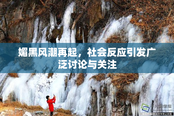 媚黑风潮再起，社会反应引发广泛讨论与关注