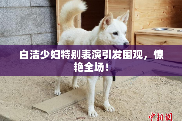 白洁少妇特别表演引发围观，惊艳全场！