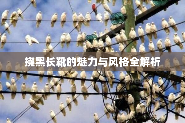 挠黑长靴的魅力与风格全解析