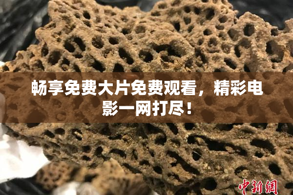 畅享免费大片免费观看，精彩电影一网打尽！