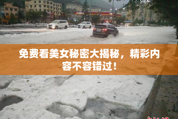 免费看美女秘密大揭秘，精彩内容不容错过！