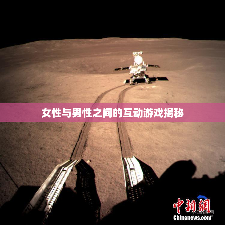 女性与男性之间的互动游戏揭秘