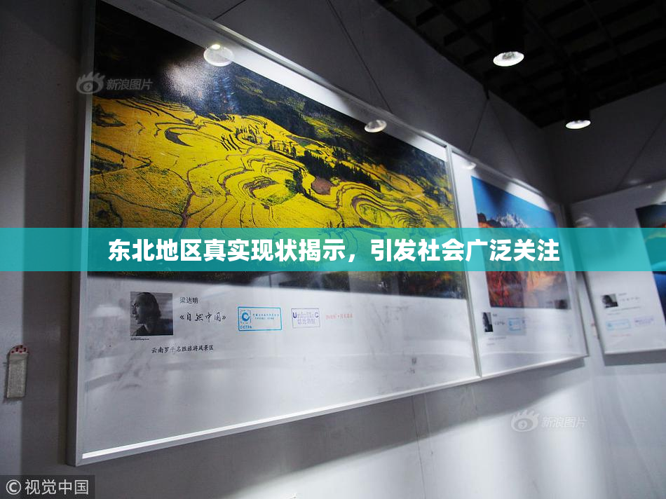 东北地区真实现状揭示，引发社会广泛关注