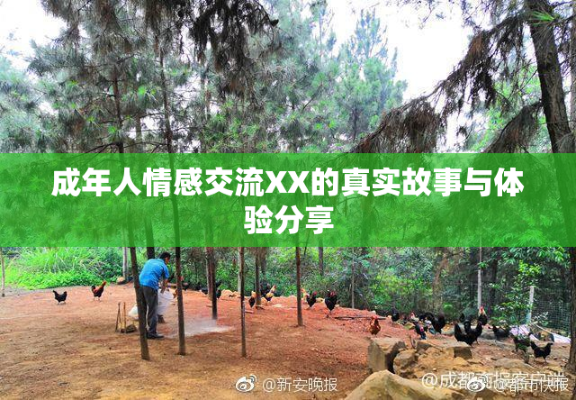 成年人情感交流XX的真实故事与体验分享