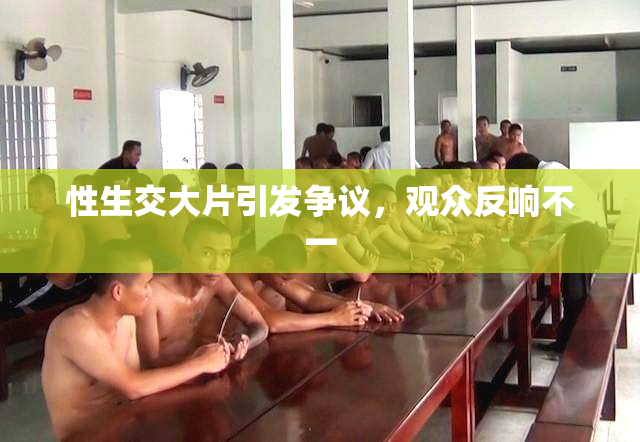 性生交大片引发争议，观众反响不一