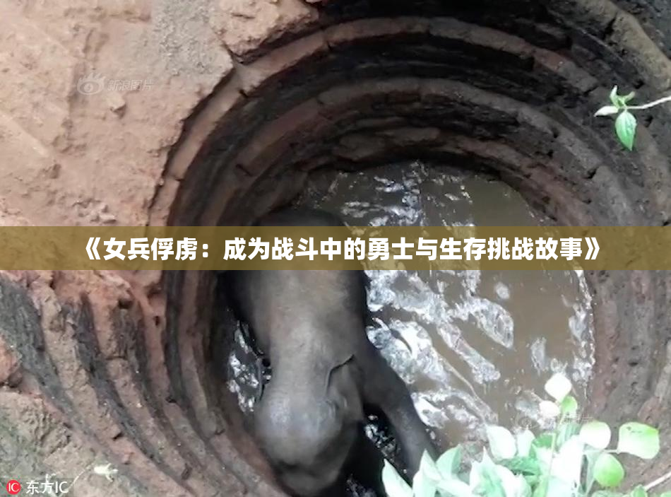 《女兵俘虏：成为战斗中的勇士与生存挑战故事》