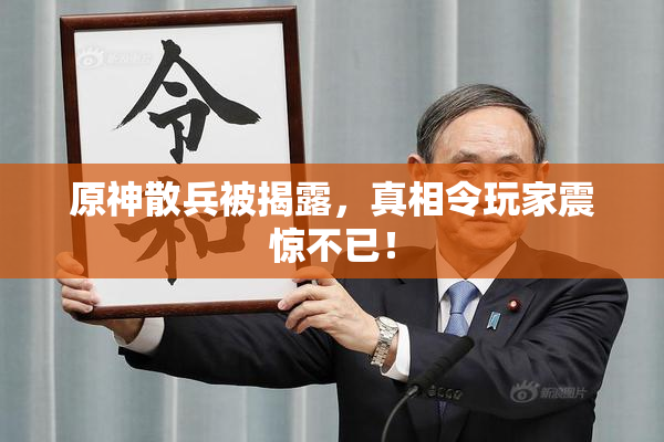 原神散兵被揭露，真相令玩家震惊不已！